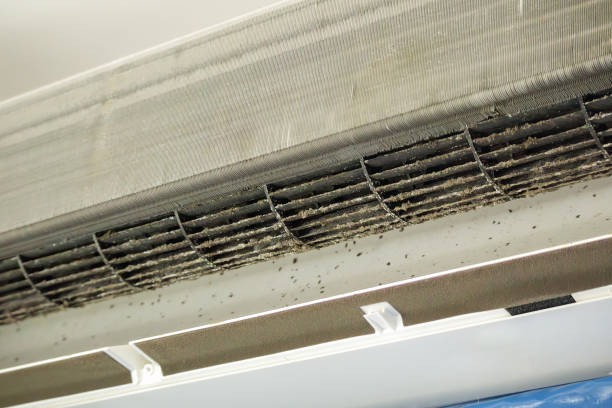 Best Residential Air Duct Cleaning  in Beale Af, CA